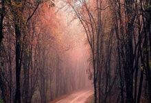 国人黄文杰逆袭夺冠，斩获传奇济州岛站主赛事冠.