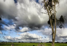 jiuyou官方网站：首进1000赛8强！拉杜卡努：我最自豪的是找回了斗志，我渴望胜利.