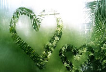 jiuyou官方网站：[英超]B费被罚下 曼联遭遇三连败.