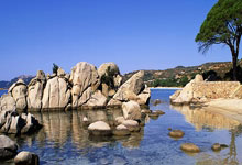 jiuyou官方网站：[NBA]兰德尔分球中路 麦克丹尼尔斯滑翔劈扣.